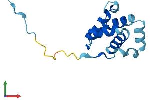Protein Structure (PS) image for Cornifelin (CNFN) (AA 1-111) protein (His tag) (ABIN7558039)