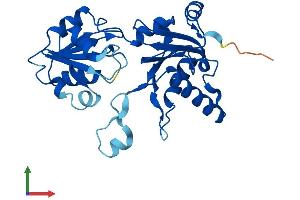 AlphaFold protein structure predicition of Mouse Recombinant Dph5 Protein, UniprotID Q9CWQ0