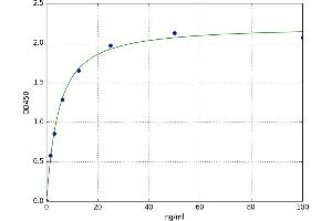 A typical standard curve
