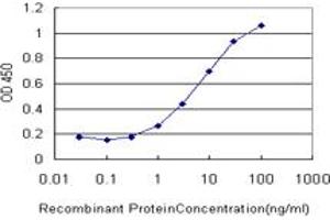 Detection limit for recombinant GST tagged GRK6 is approximately 1ng/ml as a capture antibody. (GRK6 抗体  (AA 71-170))