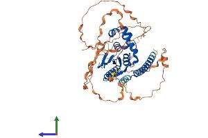 Protein Structure (PS) image for OTU Domain Containing 1 (OTUD1) (AA 1-481) protein (His tag) (ABIN7550332)