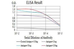 Black line: Control Antigen (100 ng),Purple line: Antigen (10 ng), Blue line: Antigen (50 ng), Red line:Antigen (100 ng) (CD226 抗体  (AA 19-254))