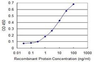 Detection limit for recombinant GST tagged RNF11 is 0. (RNF11 抗体  (AA 65-154))