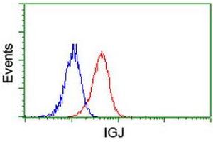 Image no. 2 for anti-Immunoglobulin J Polypeptide, Linker Protein For Immunoglobulin alpha and mu Polypeptides (IGJ) antibody (ABIN1498838)