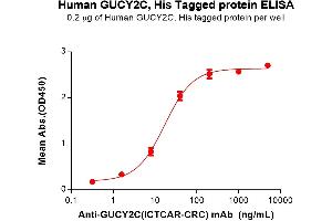 ELISA plate pre-coated by 2 μg/mL (100 μL/well) Human GC Protein, His Tag (ABIN7092686, ABIN7272328 and ABIN7272329) can bind Anti-GC(ICTCAR-CRC) mAb in a linear range of 1.