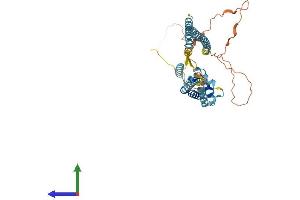 AlphaFold protein structure predicition of Human Recombinant ARC Protein, UniprotID Q7LC44