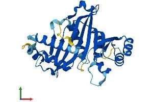 Protein Structure (PS) image for Glutamate-Cysteine Ligase, Modifier Subunit (GCLM) (AA 1-274) protein (His tag) (ABIN7548212)