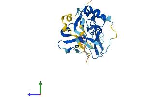 Protein Structure (PS) image for Zinc Finger, MYND-Type Containing 19 (ZMYND19) (AA 1-227) protein (His tag) (ABIN7545783)