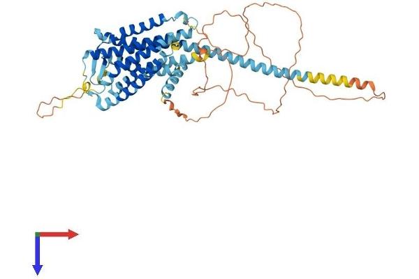 GPR101 Protein (AA 1-508) (His tag)