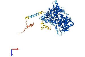 CYP2U1 Protein (AA 1-544) (His tag)