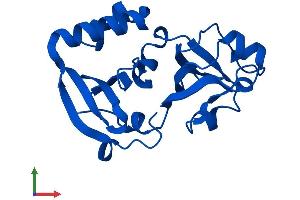 Protein Structure (PS) image for Malignant T Cell Amplified Sequence 1 (MCTS1) (AA 1-181) protein (His tag) (ABIN7565002)