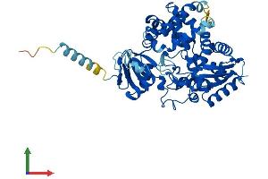 Protein Structure (PS) image for Cytochrome P450, Family 39, Subfamily A, Polypeptide 1 (CYP39A1) (AA 1-470) protein (His tag) (ABIN7561636)