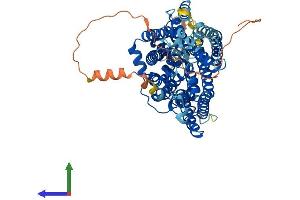 Protein Structure (PS) image for Solute Carrier Family 5 (Sodium/iodide Cotransporter), Member 5 (SLC5A5) (AA 1-643) protein (His tag) (ABIN7545962)