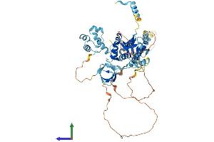 AlphaFold protein structure predicition of Human Recombinant EPS8L3 Protein, UniprotID Q8TE67
