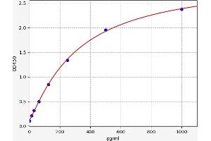 Interleukin 24 (IL24) ELISA Kit
