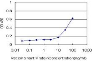 Detection limit for recombinant GST tagged PTPRE is approximately 10ng/ml as a capture antibody. (PTPRE 抗体  (AA 511-600))