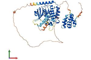 AlphaFold protein structure predicition of Mouse Recombinant Ripk2 Protein, UniprotID P58801