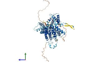 Protein Structure (PS) image for Solute Carrier Family 23 (Nucleobase Transporters), Member 2 (SLC23A2) (AA 1-650) protein (His tag) (ABIN7551711)