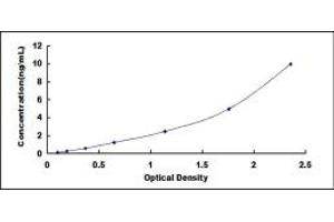 Typical standard curve (HSPB2 ELISA 试剂盒)