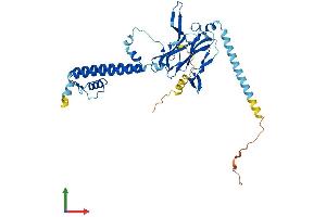 Protein Structure (PS) image for Potassium Inwardly-Rectifying Channel, Subfamily J, Member 8 (KCNJ8) (AA 1-424) protein (His tag) (ABIN7554357)