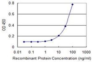 Detection limit for recombinant GST tagged TBX21 is 1 ng/ml as a capture antibody. (T-Bet 抗体  (AA 387-486))