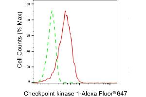Flow cytometric analysis of Checkpoint kinase 1 expression in HepG2 cells using Checkpoint kinase 1 antibody (ABIN7798036), 1:2,000). (Recombinant CHEK1 抗体)