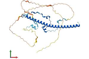 Protein Structure (PS) image for D Site of Albumin Promoter (Albumin D-Box) Binding Protein (DBP) (AA 1-325) protein (His tag) (ABIN7546934)