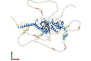 Protein Structure (PS) image for Hypoxia Inducible Factor 3, alpha Subunit (HIF3A) (AA 1-669) protein (His tag) (ABIN7554097)