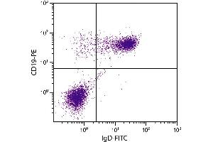 BALB/c mouse splenocytes were stained with Rat Anti-Mouse IgD-FITC. (大鼠 anti-小鼠 IgD Antibody (FITC))