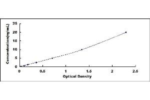 Typical standard curve (AKT2 ELISA 试剂盒)