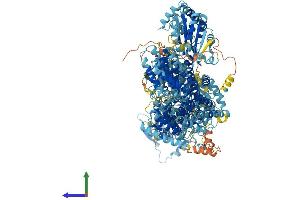 AlphaFold protein structure predicition of Mouse Recombinant Adcy10 Protein, UniprotID Q8C0T9