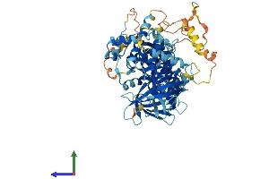 AlphaFold protein structure predicition of Mouse Recombinant Fermt2 Protein, UniprotID Q8CIB5