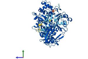 Protein Structure (PS) image for Acetoacetyl-CoA Synthetase (AACS) (AA 1-672) protein (His tag) (ABIN7551785)