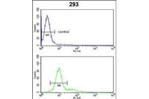 RB1 Antibody (C-term) (ABIN652516 and ABIN2842345) flow cytometric analysis of 293 cells (bottom histogram) compared to a negative control cell (top histogram). (Retinoblastoma 1 抗体  (C-Term))