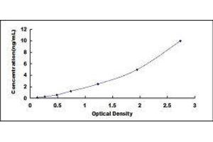 ELISA image for Superoxide Dismutase 1, Soluble (SOD1) ELISA Kit (ABIN424085)