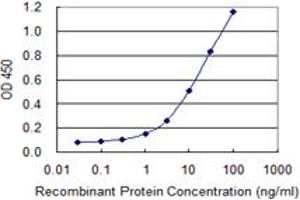 Detection limit for recombinant GST tagged C9orf103 is 0. (IdnK 抗体  (AA 41-141))