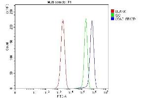 Flow Cytometry analysis of ANA-1 cells using anti-Cdk2 antibody (ABIN7602522).