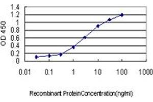 Detection limit for recombinant GST tagged ICOSLG is approximately 0. (ICOSLG 抗体  (AA 20-302))