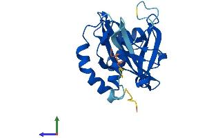 AlphaFold protein structure predicition of Mouse Recombinant Nudt8 Protein, UniprotID Q9CR24