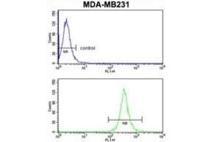 Flow Cytometry (FACS) image for anti-rho GTPase Activating Protein 18 (ARHGAP18) antibody (ABIN3003783) (ARHGAP18 抗体)
