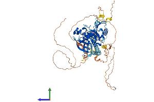 Protein Structure (PS) image for FERM Domain Containing 6 (FRMD6) (AA 1-622) protein (His tag) (ABIN7559089)