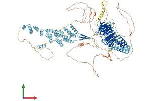 Protein Structure (PS) image for SEC31 Homolog A (SEC31A) (AA 1-1230) protein (His tag) (ABIN7563739)