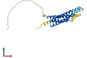 AlphaFold protein structure predicition of Human Recombinant MS4A3 Protein, UniprotID Q96HJ5