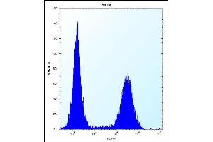RNF11 Antibody (Center) (ABIN656832 and ABIN2846041) flow cytometric analysis of Jurkat cells (right histogram) compared to a negative control cell (left histogram). (RNF11 抗体  (AA 64-90))