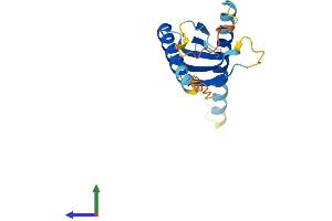 Protein Structure (PS) image for Adaptor-Related Protein Complex 5, sigma 1 Subunit (AP5S1) (AA 1-170) protein (His tag) (ABIN7561067)
