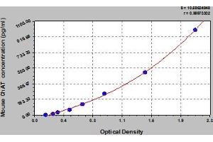 Typical Standard Curve (Choline Acetyltransferase ELISA 试剂盒)