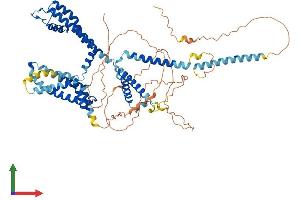 Protein Structure (PS) image for Potassium Voltage-Gated Channel, KQT-Like Subfamily, Member 1 (KCNQ1) (AA 1-668) protein (His tag) (ABIN7563547)