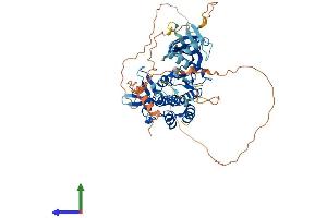 Protein Structure (PS) image for Serine/threonine Kinase 35 (STK35) (AA 1-539) protein (His tag) (ABIN7558466)