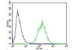 Overlay histogram showing SH-SY5Y cells stained with (ABIN6243304 and ABIN6577970) (green line). (STMN2 抗体  (AA 82-116))
