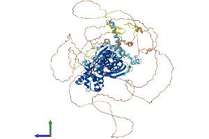Protein Structure (PS) image for StAR-Related Lipid Transfer (START) Domain Containing 8 (STARD8) (AA 1-1023) protein (His tag) (ABIN7555619)